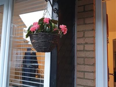 Picture 9
